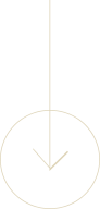 Arrow-with-Circle-Golden-Down